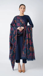 Bareeze 6192 | Premium Heavy Embroidered Winter Suit